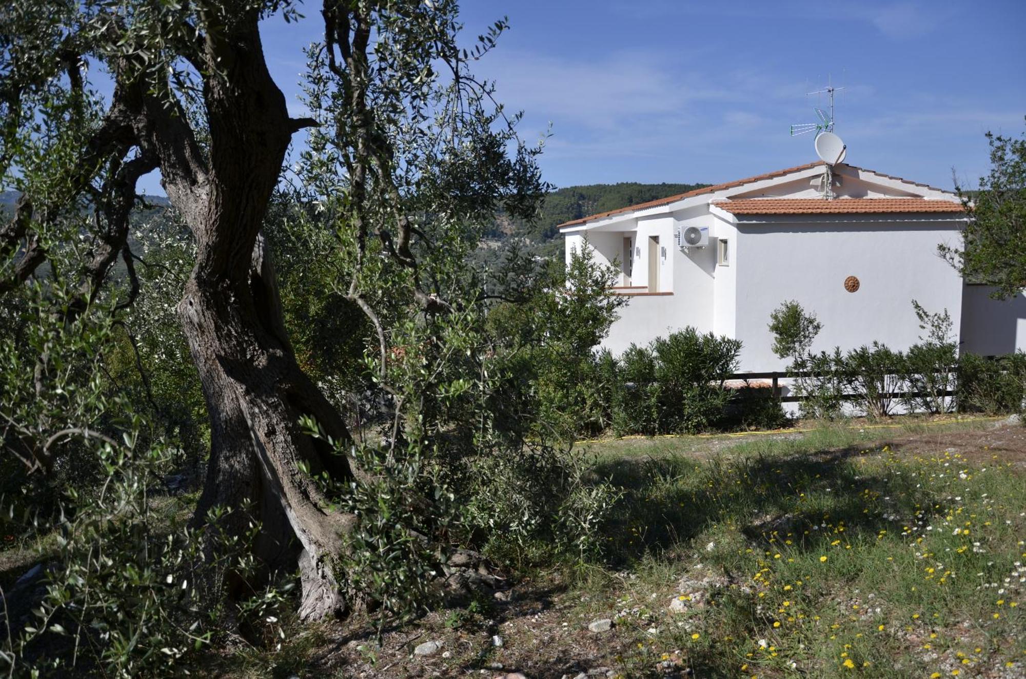 B&B White House Peschici Buitenkant foto